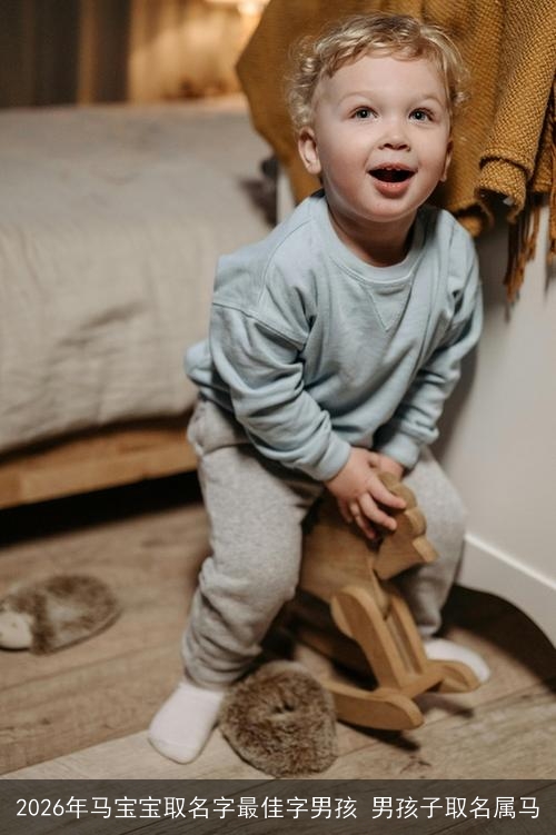 2026年马宝宝取名字最佳字男孩 男孩子取名属马