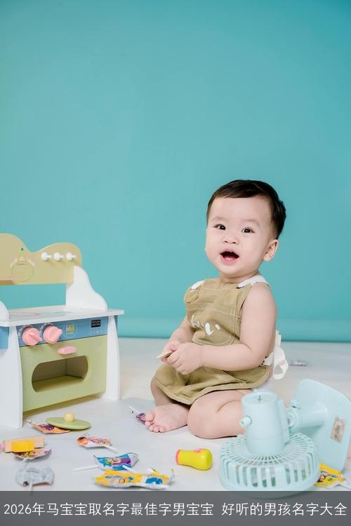 2026年马宝宝取名字最佳字男宝宝 好听的男孩名字大全