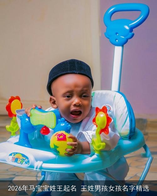 2026年马宝宝姓王起名 王姓男孩女孩名字精选