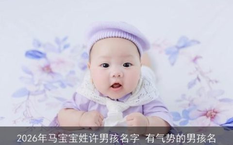 2026年马宝宝姓许男孩名字 有气势的男孩名