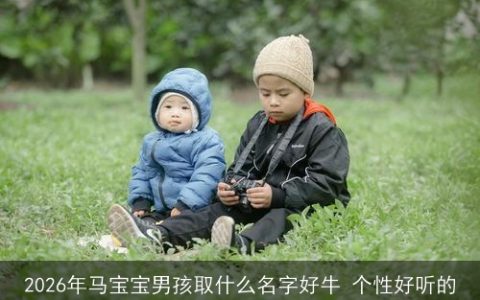 2026年马宝宝男孩取什么名字好牛 个性好听的