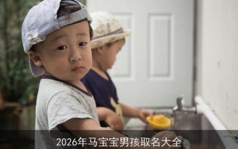 2026年马宝宝男孩取名大全