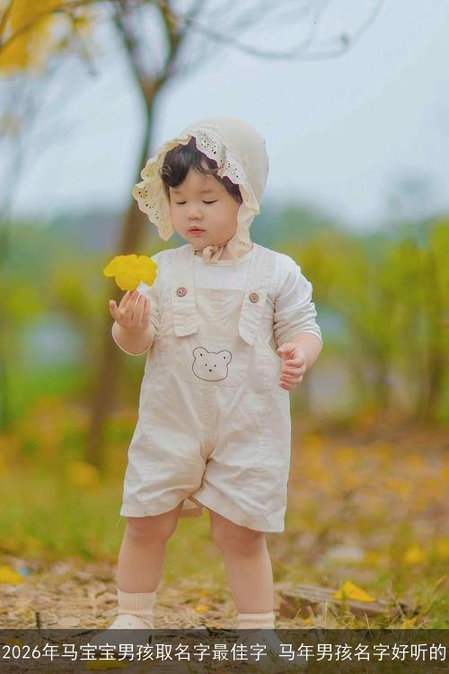2026年马宝宝男孩取名字最佳字 马年男孩名字好听的