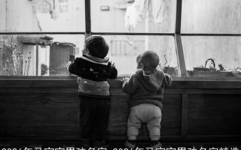 2026年马宝宝男孩名字_2026年马宝宝男孩名字精选