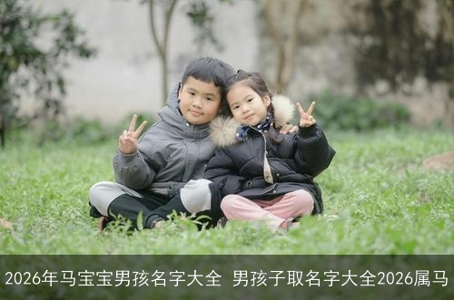 2026年马宝宝男孩名字大全 男孩子取名字大全2026属马