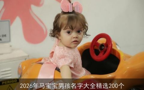 2026年马宝宝男孩名字大全精选200个