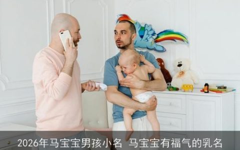 2026年马宝宝男孩小名 马宝宝有福气的乳名