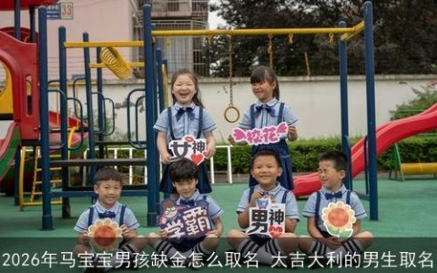 2026年马宝宝男孩缺金怎么取名 大吉大利的男生取名