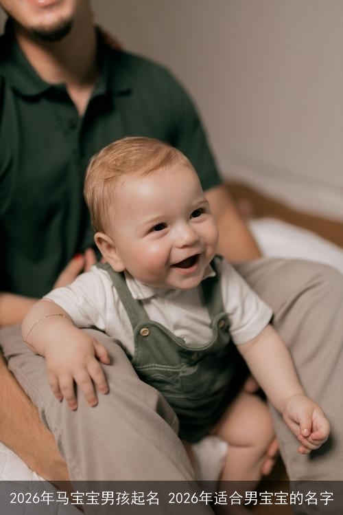 2026年马宝宝男孩起名 2026年适合男宝宝的名字