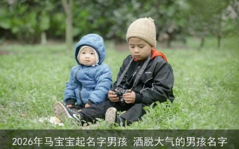 2026年马宝宝起名字男孩 洒脱大气的男孩名字