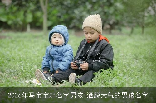 2026年马宝宝起名字男孩 洒脱大气的男孩名字
