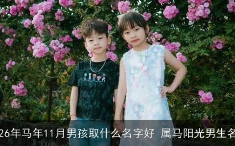 2026年马年11月男孩取什么名字好 属马阳光男生名字