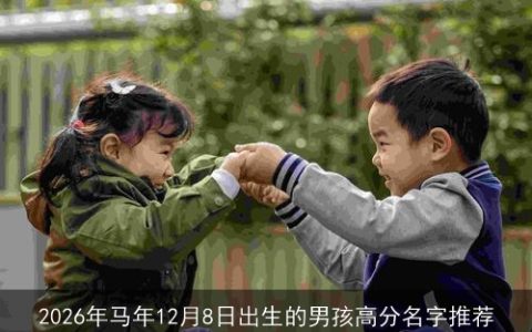 2026年马年12月8日出生的男孩高分名字推荐