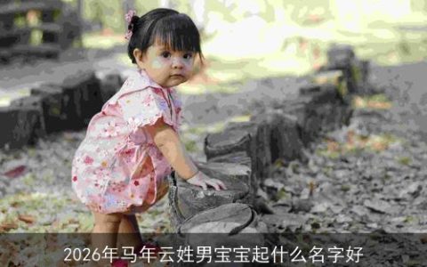 2026年马年云姓男宝宝起什么名字好