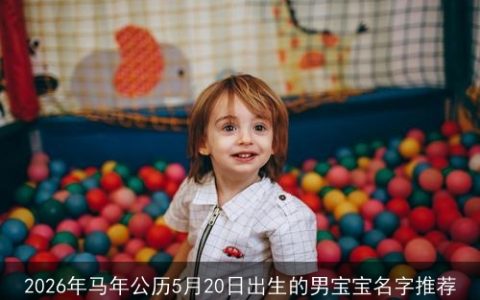 2026年马年公历5月20日出生的男宝宝名字推荐
