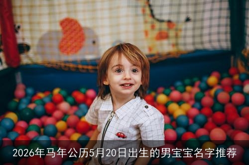 2026年马年公历5月20日出生的男宝宝名字推荐