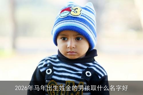 2026年马年出生姓金的男孩取什么名字好