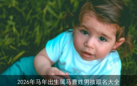2026年马年出生属马曹姓男孩取名大全