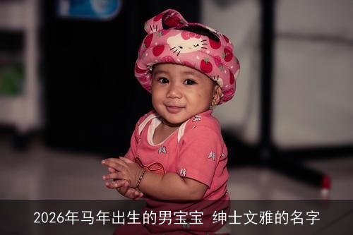2026年马年出生的男宝宝 绅士文雅的名字