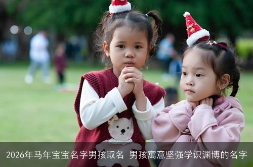 2026年马年宝宝名字男孩取名 男孩寓意坚强学识渊博的名字