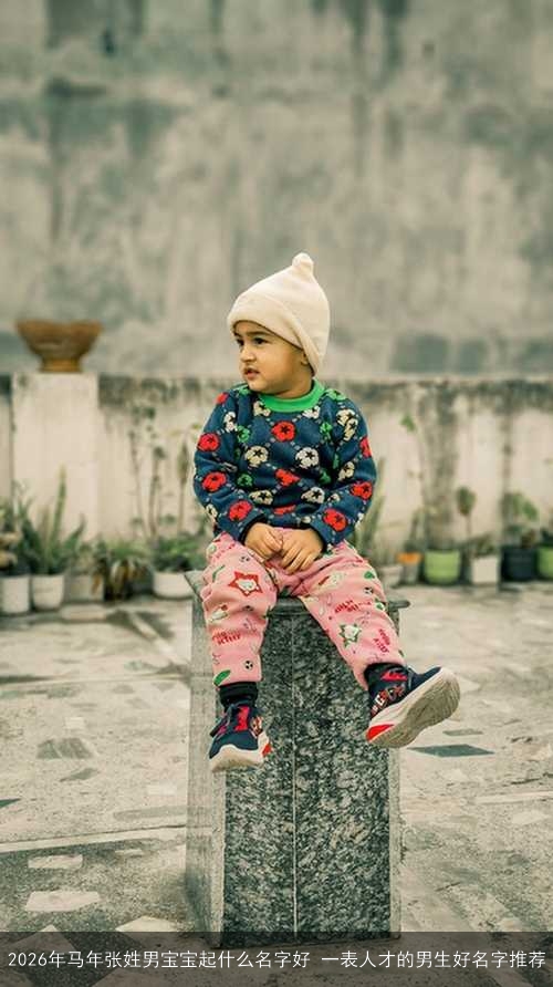 2026年马年张姓男宝宝起什么名字好 一表人才的男生好名字推荐