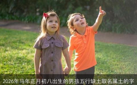 2026年马年正月初八出生的男孩五行缺土取名属土的字