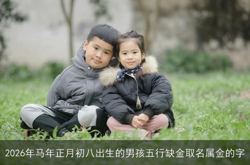 2026年马年正月初八出生的男孩五行缺金取名属金的字