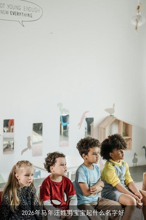 2026年马年汪姓男宝宝起什么名字好