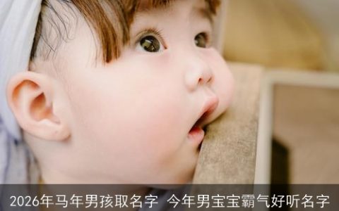 2026年马年男孩取名字 今年男宝宝霸气好听名字