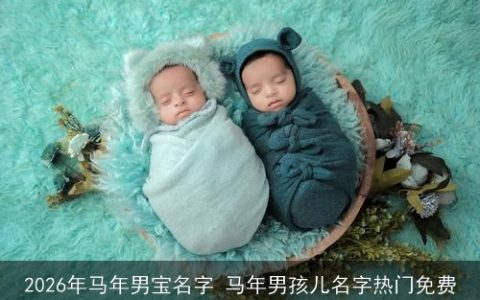 2026年马年男宝名字 马年男孩儿名字热门免费