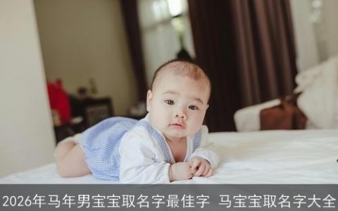 2026年马年男宝宝取名字最佳字 马宝宝取名字大全