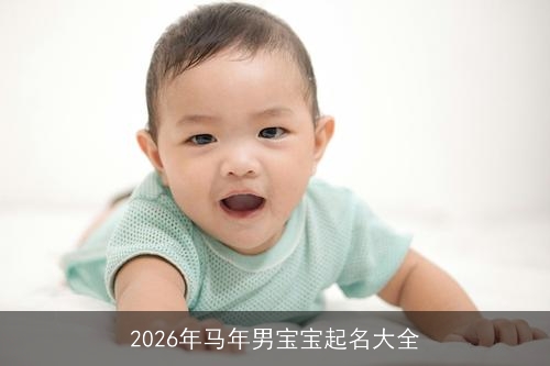 2026年马年男宝宝起名大全