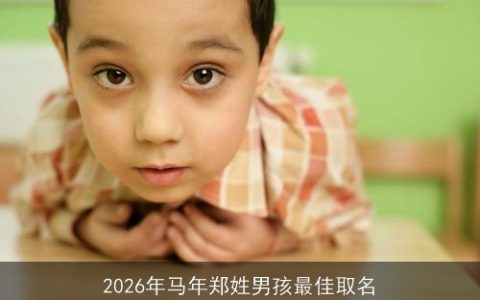 2026年马年郑姓男孩最佳取名