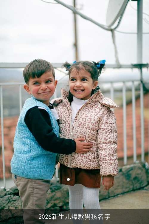 2026新生儿爆款男孩名字