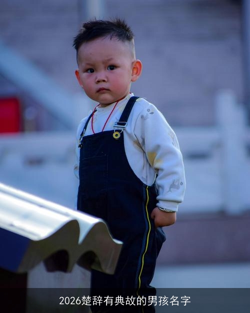 2026楚辞有典故的男孩名字