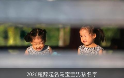 2026楚辞起名马宝宝男孩名字