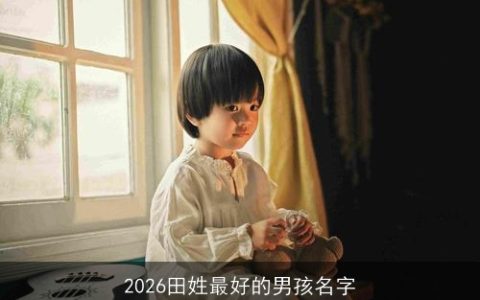 2026田姓最好的男孩名字