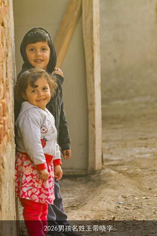 2026男孩名姓王带晓字