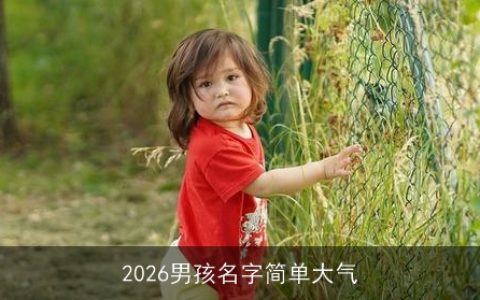 2026男孩名字简单大气
