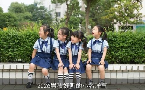 2026男孩好听的小名洋气
