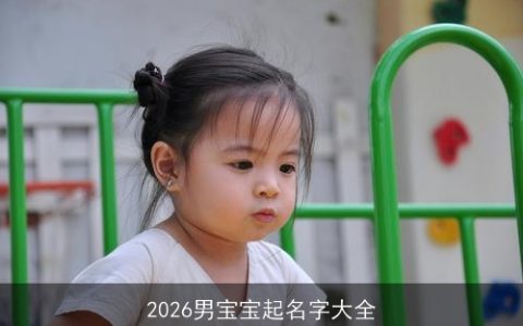 2026男宝宝起名字大全