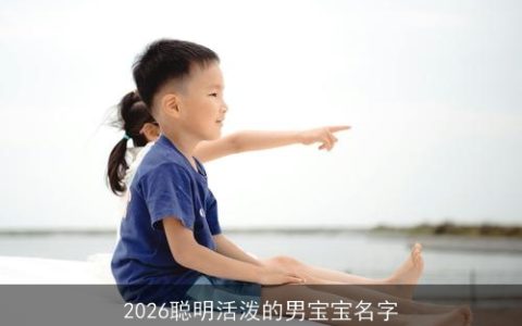 2026聪明活泼的男宝宝名字