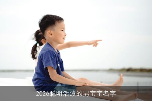 2026聪明活泼的男宝宝名字