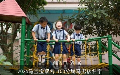 2026马宝宝取名 100分属马男孩名字