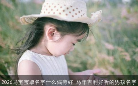 2026马宝宝取名字什么偏旁好 马年吉利好听的男孩名字