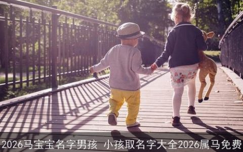 2026马宝宝名字男孩 小孩取名字大全2026属马免费
