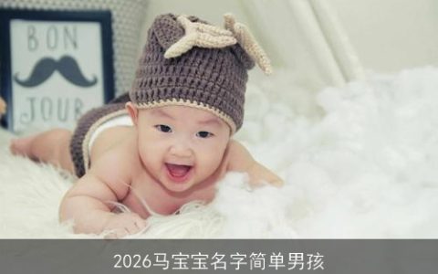 2026马宝宝名字简单男孩