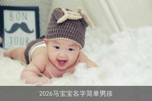 2026马宝宝名字简单男孩