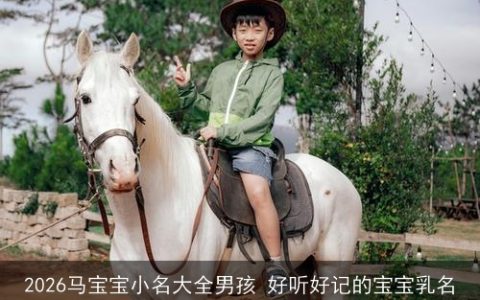 2026马宝宝小名大全男孩 好听好记的宝宝乳名
