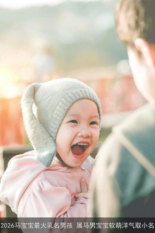 2026马宝宝最火乳名男孩 属马男宝宝软萌洋气取小名